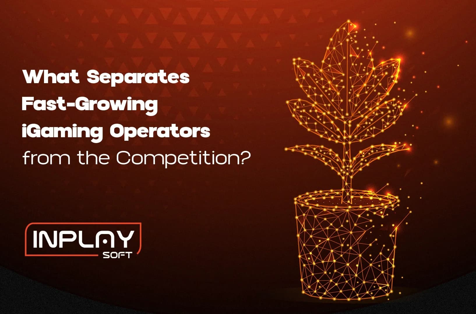 What Separates Fast-Growing iGaming Operators from the Competition?